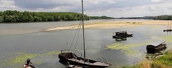 les bords de loire au printemps 2013