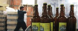 La Piautre, bière bio angevine fabriqué à la Ménitré