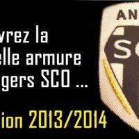 angers sco, retour sur la saison 2013 2014