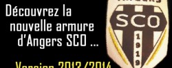 angers sco, retour sur la saison 2013 2014