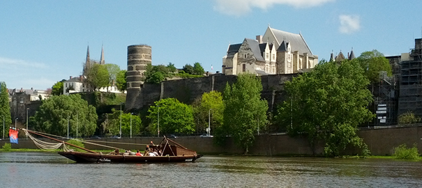 Vue du château d'Angers depuis les bords de Maine.