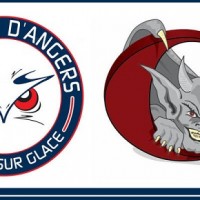 Ducs d'Angers contre les Gothiques d'Amiens