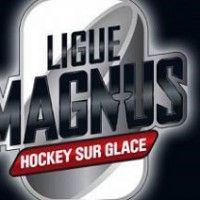 ligue magnus des ducs d'Angers